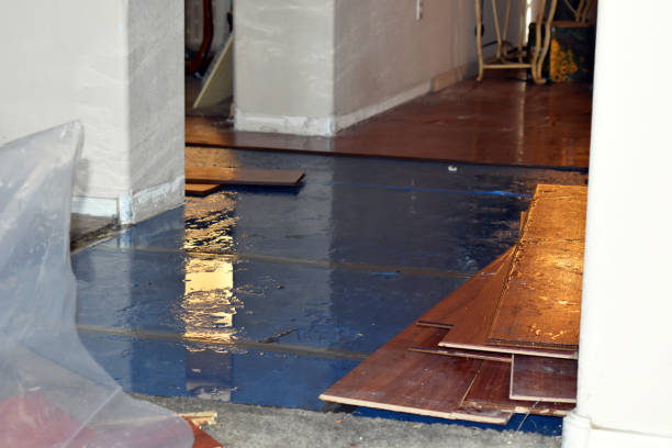 Professional Basement Water Removal technician working in Riga, MI